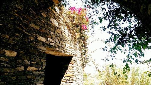 Apollonia Apartamento | Apollon-Artemis Apartments