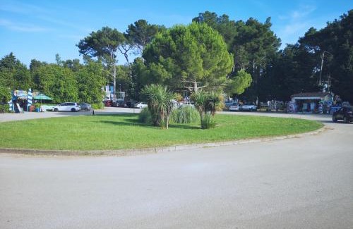 Basanija Apartamento | APP EMONA