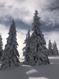 Sankt Martin am Tennengebirge Apartamento | Appartement FreiRaum