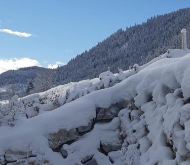 Sankt Martin am Tennengebirge Apartamento | Appartement FreiRaum