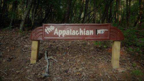 Ellijay Casa | Appalachian Cabin- Trout Stream Firepit Hot Tub