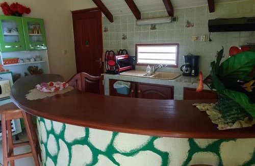 Grand-Bourg Apartamento | Apparemment de l'hibiscus