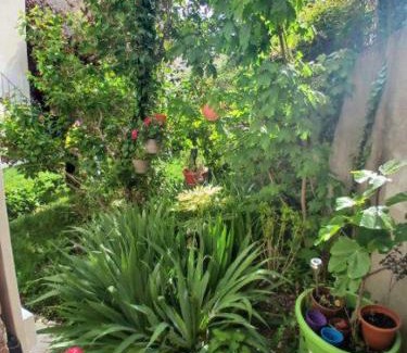 Faubourg Sud Apartamento | Appart Rez de jardin