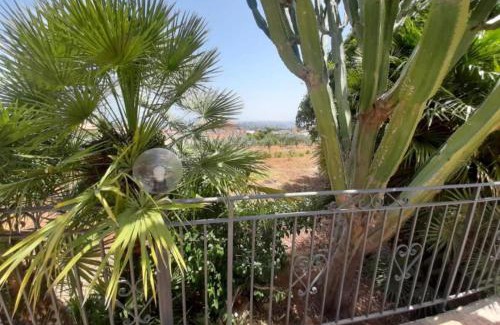 Castellammare del Golfo Apartamento | Appartamento unica Brigitte