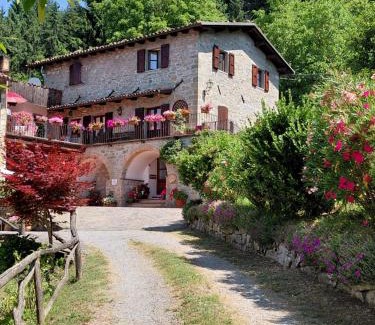Castiglione di Garfagnana Apartamento | Appartamento DANIELA