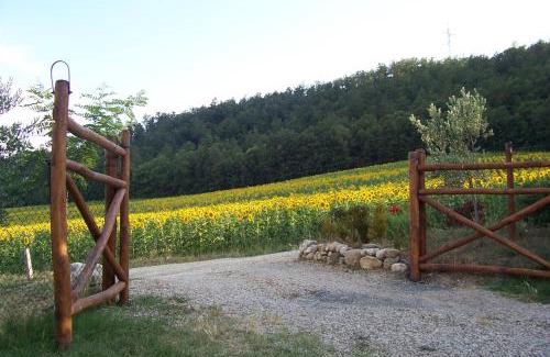 Motina Casa | Appartamenti con cucina nelle colline toscane