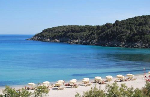 Fetovaia Apartamento | Appartamenti Fetovaia Orchidea