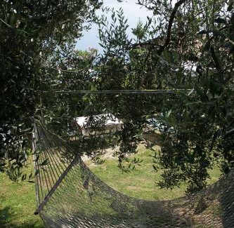 Musaga Apartamento | Appartamenti Serena - Nonna Agnese