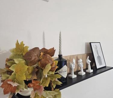 Cremona Apartamento | Appartamento 2 poggioli