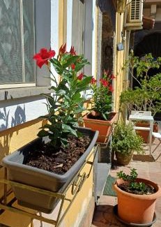 Cibali Apartamento | Appartamento A casa di Bert - Catania