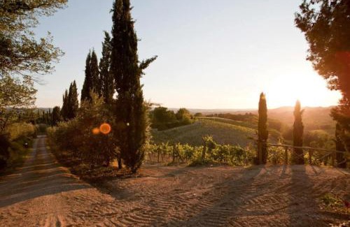Certaldo Apartamento | Appartamento Aster - Azienda Agricola Sotto il Masso