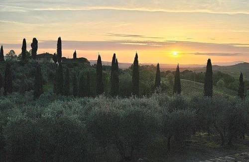 Certaldo Apartamento | Appartamento Aster - Azienda Agricola Sotto il Masso