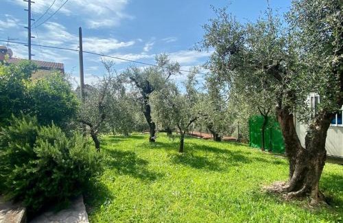 Castelnuovo Magra Apartamento | Appartamento Cá Medé