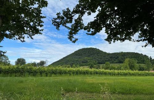 Teolo Apartamento | Appartamento casa vacanza Abano Terme Euganean Hills Holiday