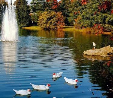 Milano 3 Apartamento | Appartamento Centrale vicino a Humanitas e Forum Assago