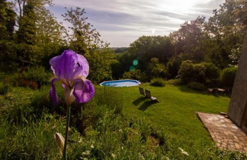 Ghizzano Apartamento | Appartamento con piscina e giardino - Olivo