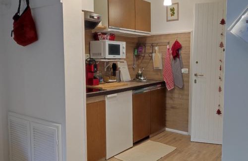 Fiumalbo Apartamento | Appartamento con vista sul Cimone
