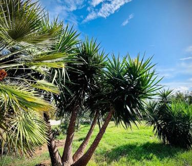 Alghero Apartamento | APPARTAMENTO DA GIOVANNI - Terrasse - Küche - Klima - Parken