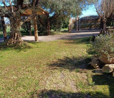 Pescia Romana Apartamento | Appartamento Farfollie