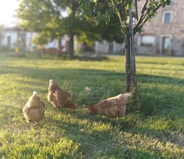 Monsummano Terme Apartamento | - Appartamento Il fienile