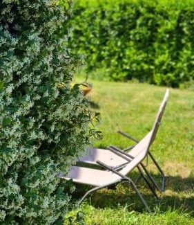 Volterra Apartamento | Appartamento Il Nido