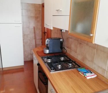 Celle sul Rigo Apartamento | Appartamento Il Pianetto