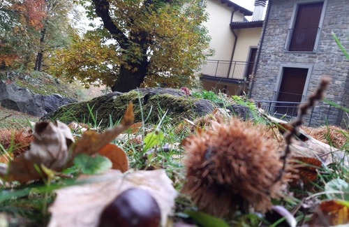 Roncoscaglia Apartamento | Appartamento Immerso nel Bosco, a Pochi Passi dal Centro