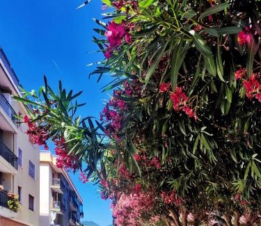 Spotorno Apartamento | Appartamento Isabella