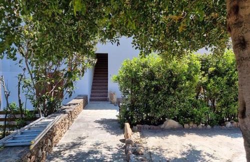 Budoni Casa | Appartamento La Paduledda