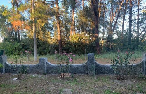Lido di Spina Apartamento | Appartamento Laguna