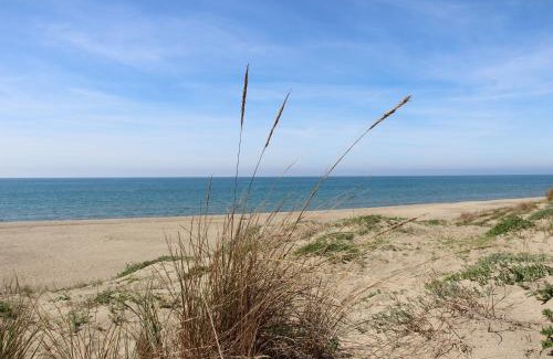 Quartiere XXXIV Lido di Ostia Levante Apartamento | Appartamento Lungomare Toscanelli
