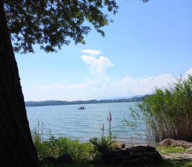 Morosolo Apartamento | Appartamento Miralago con Giardino sul Lago