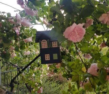 Camandona Apartamento | Appartamento nel Verde
