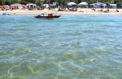 Senigallia Apartamento | Appartamento nel Verde sul Mare di Senigallia