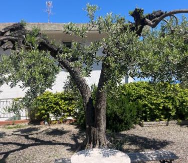 Laigueglia Apartamento | Appartamento Nena