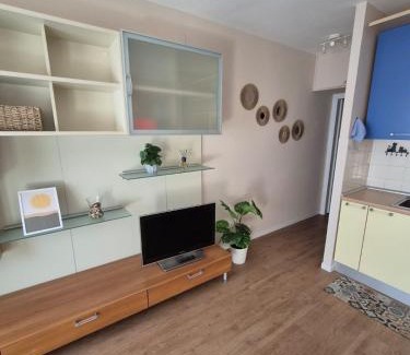 Pisa Apartamento | Appartamento Ortensia Cisanello