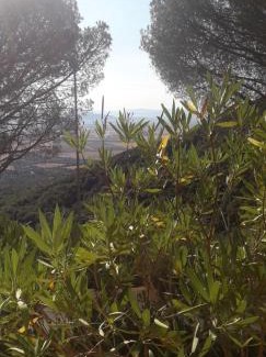 Buriano Apartamento | Appartamento Poggio Biondo