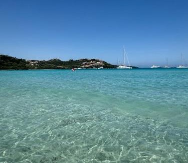 Porto Rotondo Apartamento | Appartamento Porto Rotondo Rudargia