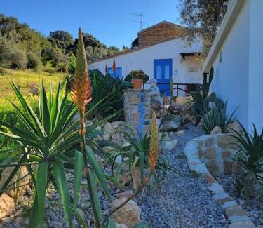 Acquedolci Casa | Appartamento Rosmarino