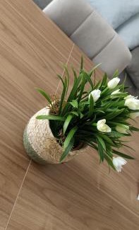 Bagheria Apartamento | appartamento san felice