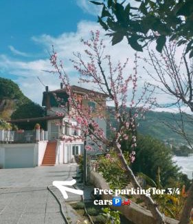 Latte Apartamento | Appartamento un mare di fiori