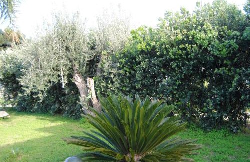 Carini Casa | Appartamento uso turistico Villa Barbara