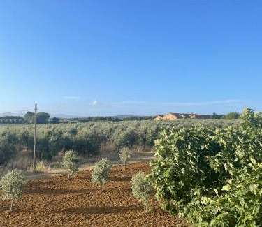 Castagneto Carducci Apartamento | Appartamento Villa Caprareccia