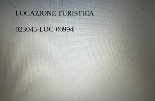 Malcesine Apartamento | appartamentsandreis