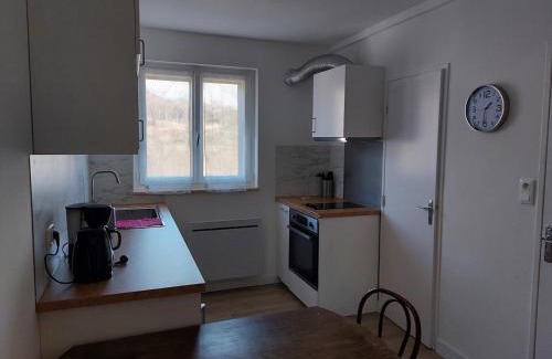 Besse-en-Chandesse Apartamento | Appartement en plein cœur du Massif du Sancy