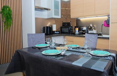 Prats-de-Mollo-la-Preste Apartamento | Appartement Saintes Juste et Ruffine centre ancien