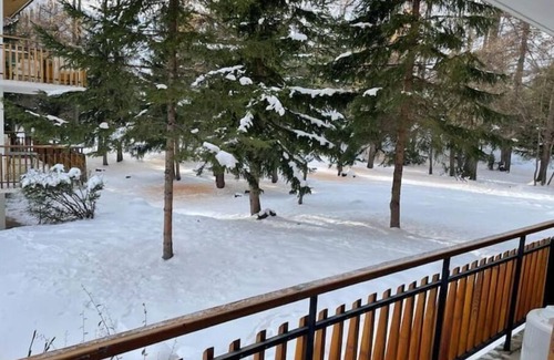 Saint-Etienne-de-Tinee Apartamento | Appartement Auron : Wifi et box - Grand Espace Vert . A Deux pas du Centre