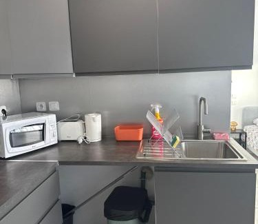 Saint-Orens-de-Gameville Apartamento | Appartement climatisé Saint Orens N8