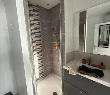Saint-Orens-de-Gameville Apartamento | Appartement climatisé Saint Orens N8