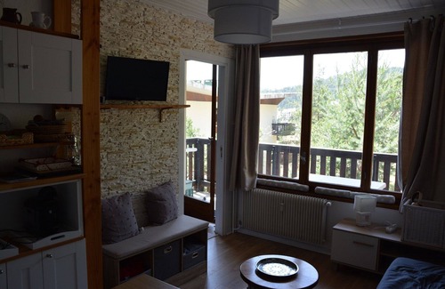 Greolieres les Neiges Apartamento | Vrbo Property